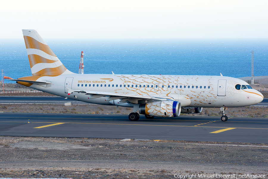 British Airways Airbus A319-131 (G-DBCD) | Photo 247453