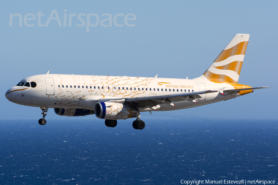 British Airways Airbus A319-131 (G-DBCD) | Photo 423556