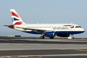 British Airways Airbus A319-131 (G-DBCK) at  Tenerife Sur - Reina Sofia, Spain