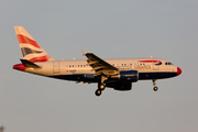 British Airways Airbus A318-112(CJ) Elite (G-EUNB) at  New York - John F. Kennedy International, United States