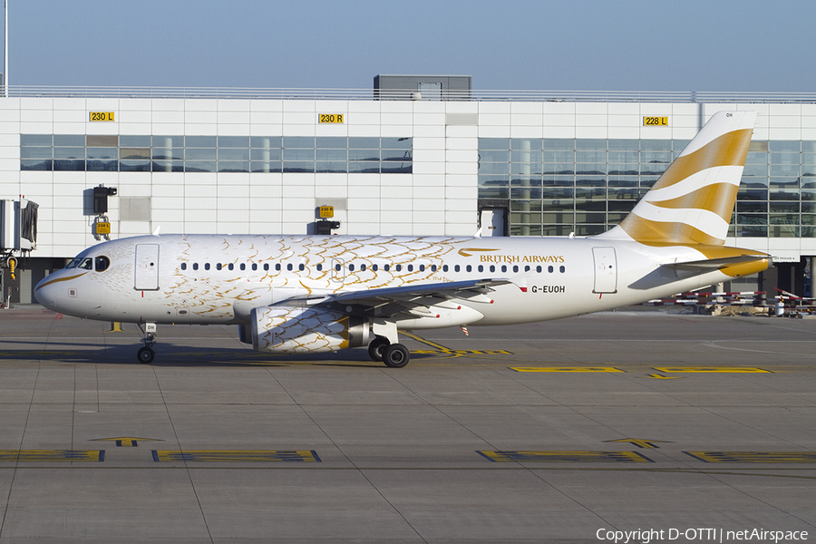 British Airways Airbus A319-131 (G-EUOH) | Photo 384283
