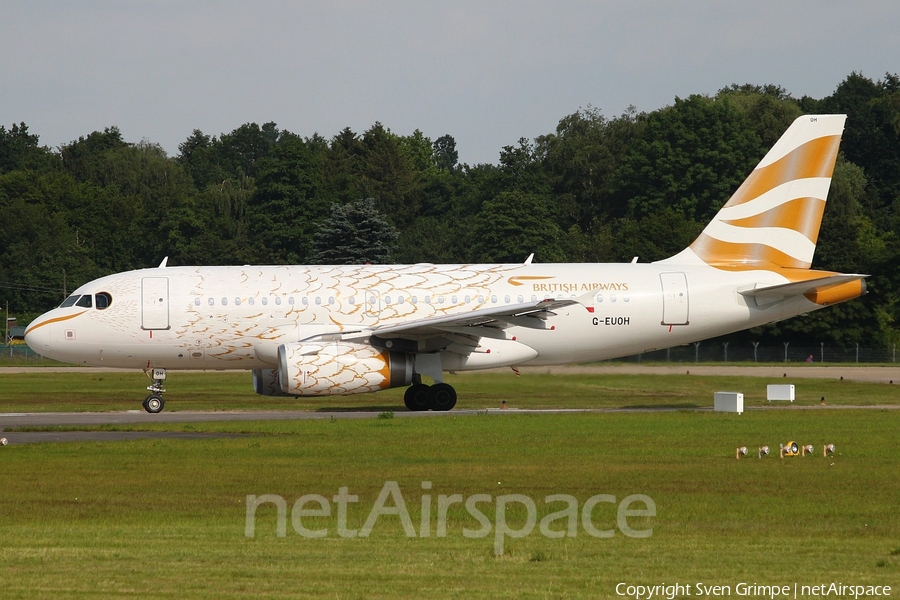 British Airways Airbus A319-131 (G-EUOH) | Photo 22445