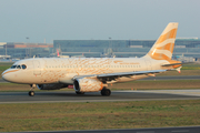 British Airways Airbus A319-131 (G-EUPA) at  Frankfurt am Main, Germany