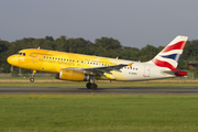 British Airways Airbus A319-131 (G-EUPC) at  Hamburg - Fuhlsbuettel (Helmut Schmidt), Germany