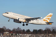 British Airways Airbus A319-131 (G-EUPG) at  Hamburg - Fuhlsbuettel (Helmut Schmidt), Germany