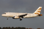 British Airways Airbus A319-131 (G-EUPH) at  Münster/Osnabrück, Germany