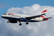 British Airways Airbus A319-131 (G-EUPU) at  Hamburg - Fuhlsbuettel (Helmut Schmidt), Germany