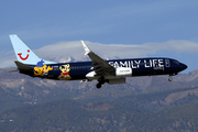 Thomson Airways Boeing 737-8K5 (G-FDZG) at  Tenerife Sur - Reina Sofia, Spain