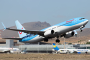 Thomson Airways Boeing 737-8K5 (G-FDZG) at  Tenerife Sur - Reina Sofia, Spain