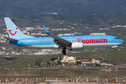 Thomson Airways Boeing 737-8K5 (G-FDZU) at  Tenerife Sur - Reina Sofia, Spain