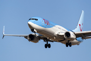 TUI Airways UK Boeing 737-8K5 (G-FDZW) at  Luqa - Malta International, Malta