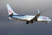 TUI Airways UK Boeing 737-8K5 (G-FDZY) at  Tenerife Sur - Reina Sofia, Spain