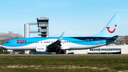TUI Airways UK Boeing 737-8K5 (G-FDZZ) at  Alicante - El Altet, Spain