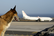 Jet2 Boeing 737-86Q (G-GDFY) at  Tenerife Sur - Reina Sofia, Spain