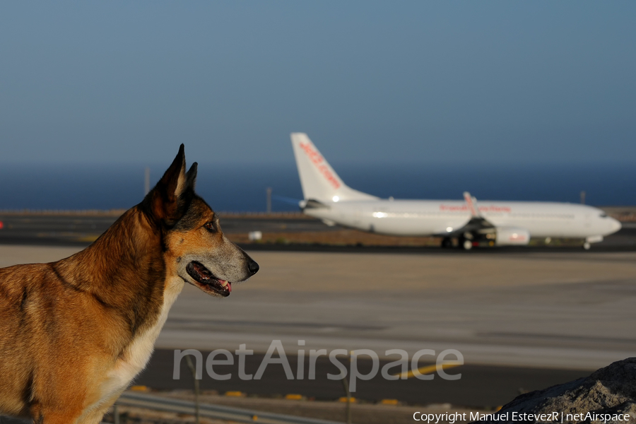 Jet2 Boeing 737-86Q (G-GDFY) | Photo 146373