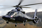Starspeed Helicopter Charter Eurocopter EC155 B1 Dauphin (G-HBJT) at  Cheltenham Race Course, United Kingdom