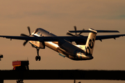Flybe Bombardier DHC-8-402Q (G-JEDR) at  Belfast - George Best City, United Kingdom