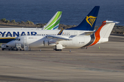 Jota Aviation BAe Systems BAe-146-300QT (G-JOTE) at  Gran Canaria, Spain