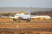 Jet2 Boeing 737-8MG (G-JZBF) at  Tenerife Sur - Reina Sofia, Spain