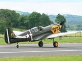 Hangar 11 Collection Curtiss P-40M Warhawk (G-KITT) at  Enniskillen/St Angelo, United Kingdom