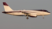 TAG Aviation UK Airbus A319-133X CJ (G-OACJ) at  Dusseldorf - International, Germany