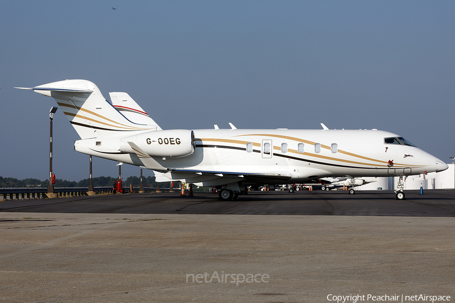 (Private) Bombardier BD-100-1A10 Challenger 350 (G-OOEG) | Photo 352041