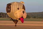 Lighter Than Air Cameron Balloons Z-105 (G-OPAW) at  Warstein, Germany