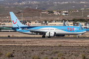 TUI Airways UK Boeing 737-8 MAX (G-TUMB) at  Tenerife Sur - Reina Sofia, Spain