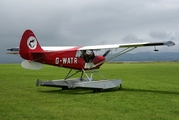 (Private) Aviat A-1 Husky (G-WATR) at  Bellarena Airfield, United Kingdom