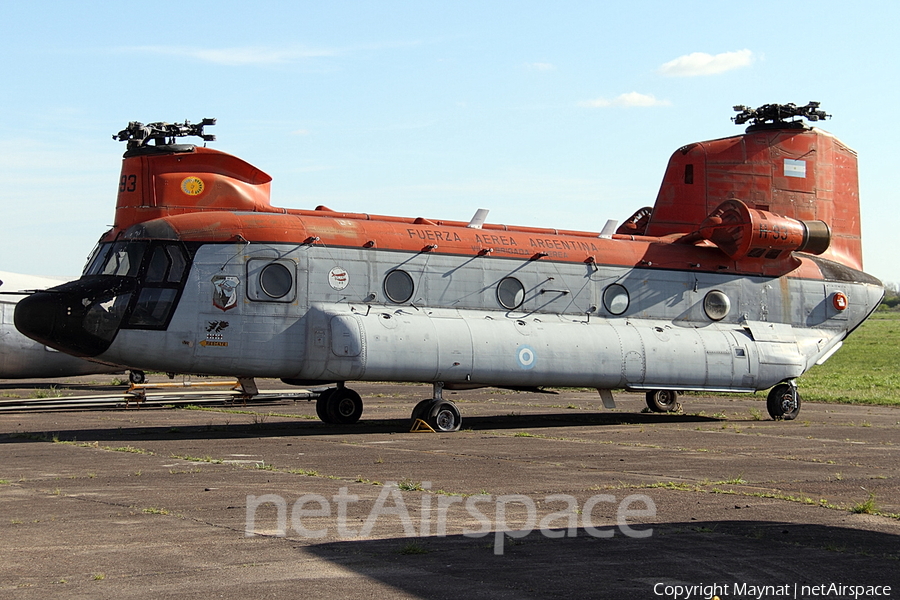 Argentine Air Force (Fuerza Aérea Argentina) Boeing CH-47C Chinook (H-93) | Photo 131450