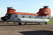 Argentine Air Force (Fuerza Aérea Argentina) Boeing CH-47C Chinook (H-93) at  Moron, Argentina