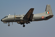 Indian Air Force Hawker Siddeley HS.748-247 Series 2M LFD (H2381) at  Mumbai - Chhatrapati Shivaji International, India