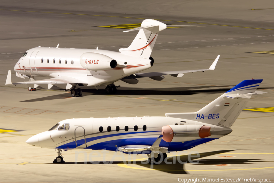 (Private) Raytheon Hawker 800XP (HA-BES) | Photo 287268