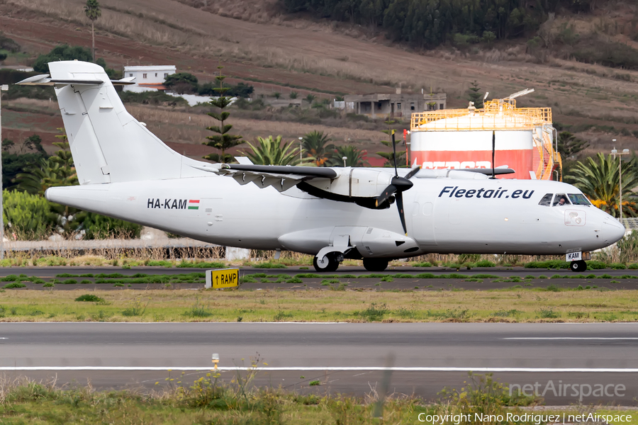 Fleet Air International ATR 42-320(F) (HA-KAM) | Photo 479537