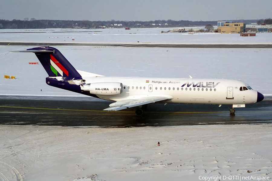 Malev Hungarian Airlines Fokker 70 (HA-LMA) | Photo 145173