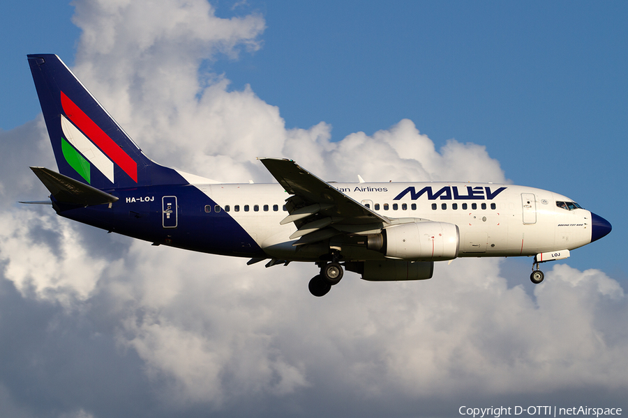 Malev Hungarian Airlines Boeing 737-6Q8 (HA-LOJ) | Photo 298369