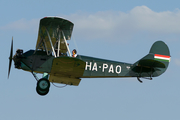 Goldtimer Foundation Polikarpov Po-2 (HA-PAO) at  Börgönd, Hungary