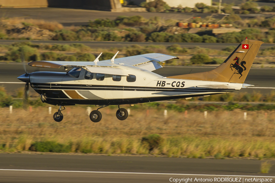(Private) Cessna P210N Pressurized Centurion (HB-CQS) | Photo 133773