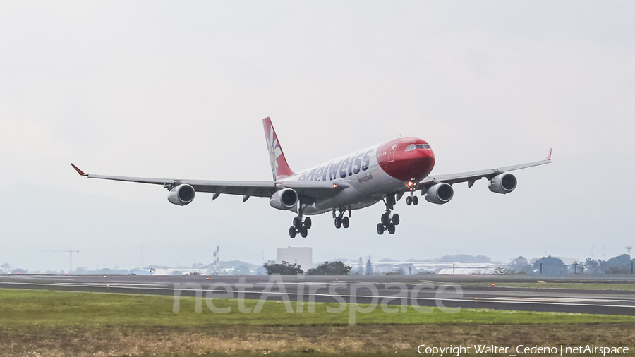 Edelweiss Air Airbus A340-313E (HB-JMF) | Photo 245010