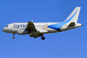 TAME - Linea Aerea del Ecuador Airbus A319-132 (HC-CMP) at  Sao Paulo - Guarulhos - Andre Franco Montoro (Cumbica), Brazil