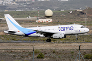 TAME - Linea Aerea del Ecuador Airbus A319-132 (HC-CMP) at  Tenerife Sur - Reina Sofia, Spain