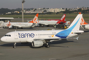 TAME - Linea Aerea del Ecuador Airbus A319-112 (HC-COF) at  Sao Paulo - Guarulhos - Andre Franco Montoro (Cumbica), Brazil