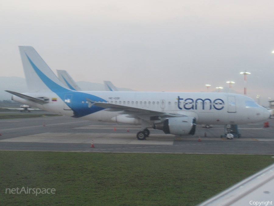 TAME - Linea Aerea del Ecuador Airbus A319-112 (HC-COF) | Photo 271883