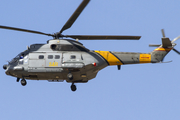 Spanish Air Force (Ejército del Aire) Aerospatiale SA330L Puma (HD.19-3) at  Palma De Mallorca - Son San Juan, Spain
