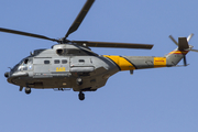 Spanish Air Force (Ejército del Aire) Aerospatiale SA330L Puma (HD.19-4) at  Palma De Mallorca - Son San Juan, Spain