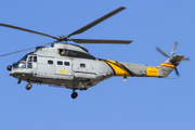 Spanish Air Force (Ejército del Aire) Aerospatiale SA330J Puma (HD.19-7) at  Palma De Mallorca - Son San Juan, Spain