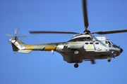 Spanish Air Force (Ejército del Aire) Aerospatiale AS332B1 Super Puma (HD.21-04) at  Gran Canaria, Spain