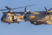 Spanish Air Force (Ejército del Aire) Airbus Helicopters H215 Super Puma (HD.21-16) at  Gran Canaria, Spain