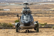 Spanish Air Force (Ejército del Aire) Eurocopter AS332L1 Super Puma (HD.21-17) at  Lanzarote - Arrecife, Spain