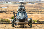 Spanish Air Force (Ejército del Aire) Eurocopter AS332L1 Super Puma (HD.21-17) at  El Berriel, Spain